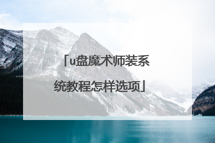 u盘魔术师装系统教程怎样选项