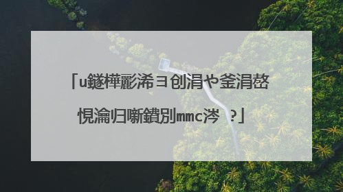 u鐩樺彲浠ヨ创涓や釜涓嶅悓瀹归噺鐨別mmc涔�?