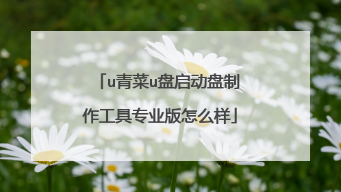 u青菜u盘启动盘制作工具专业版怎么样