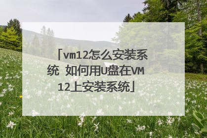vm12怎么安装系统 如何用U盘在VM12上安装系统