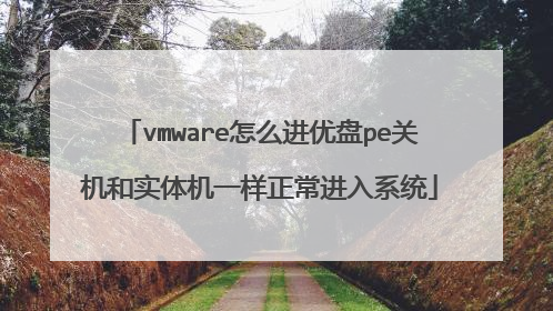 vmware怎么进优盘pe关机和实体机一样正常进入系统