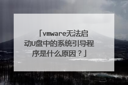 vmware无法启动U盘中的系统引导程序是什么原因？