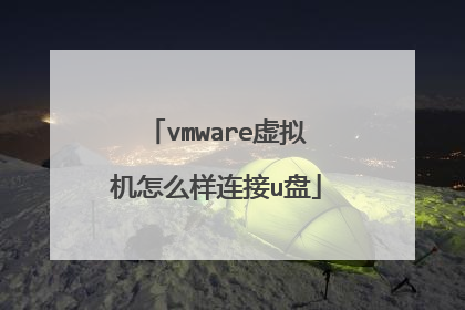 vmware虚拟机怎么样连接u盘