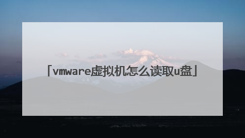 vmware虚拟机怎么读取u盘
