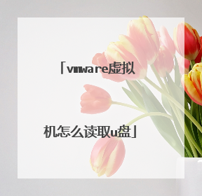 vmware虚拟机怎么读取u盘