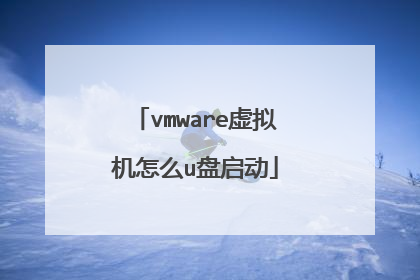 vmware虚拟机怎么u盘启动