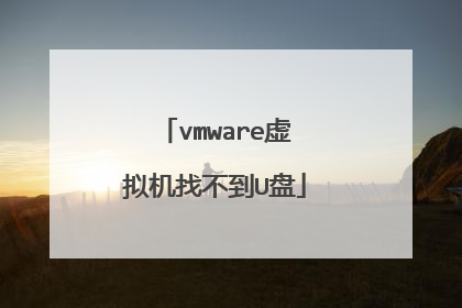 vmware虚拟机找不到U盘