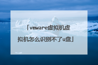 vmware虚拟机虚拟机怎么识别不了u盘