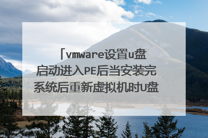 vmware设置u盘启动进入PE后当安装完系统后重新虚拟机时U盘会断,该怎么办?
