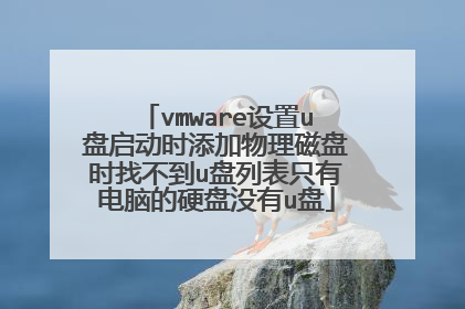 vmware设置u盘启动时添加物理磁盘时找不到u盘列表只有电脑的硬盘没有u盘