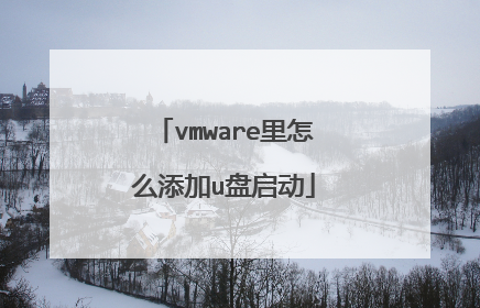 vmware里怎么添加u盘启动