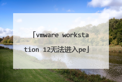 vmware workstation 12无法进入pe