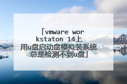 vmware workstaton 14上用u盘启动盘模拟装系统总是检测不到u盘