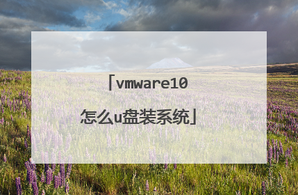 vmware10怎么u盘装系统