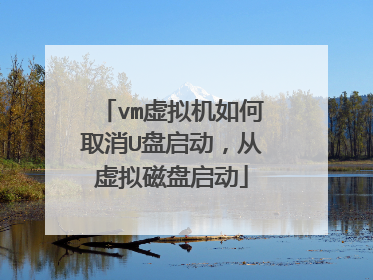 vm虚拟机如何取消U盘启动，从虚拟磁盘启动