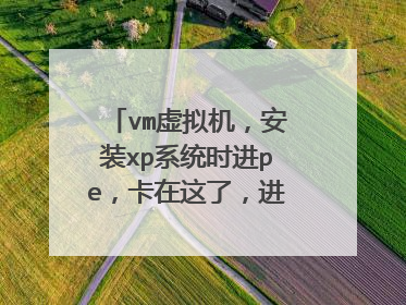 vm虚拟机,安装xp系统时进pe,卡在这了,进不去为什么?