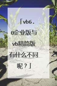 vb6.0企业版与vb精简版有什么不同呢?