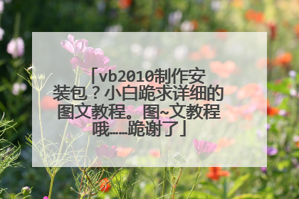vb2010制作安装包?小白跪求详细的图文教程。图~文教程哦……跪谢了