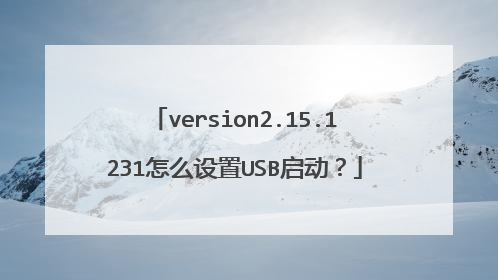version2.15.1231怎么设置USB启动?