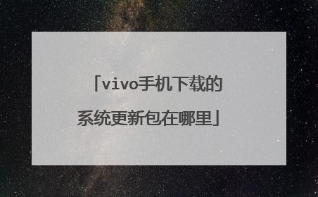 vivo手机下载的系统更新包在哪里
