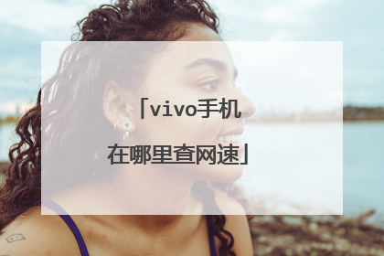 vivo手机在哪里查网速