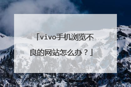 vivo手机浏览不良的网站怎么办?
