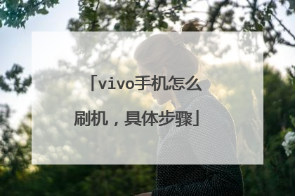 vivo手机怎么刷机,具体步骤