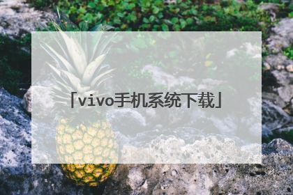 vivo手机系统下载