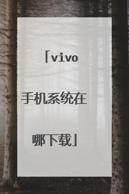 vivo手机系统在哪下载