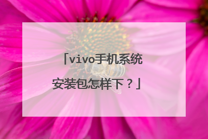vivo手机系统安装包怎样下？