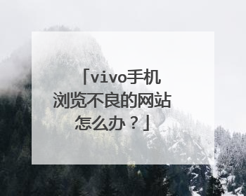vivo手机浏览不良的网站怎么办?