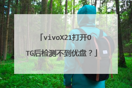vivoX21打开OTG后检测不到优盘？