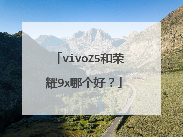 vivoZ5和荣耀9x哪个好？