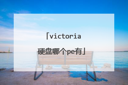 victoria 硬盘哪个pe有
