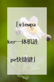 viewpaker一体机进pe快捷键