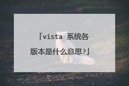 vista 系统各版本是什么意思?