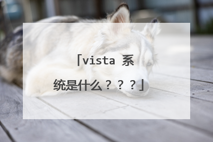 vista 系统是什么???