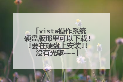 vista操作系统硬盘版那里可以下载!!要在硬盘上安装!!没有光驱~~~