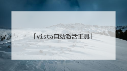 vista自动激活工具