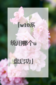 w10系统用哪个u盘启功