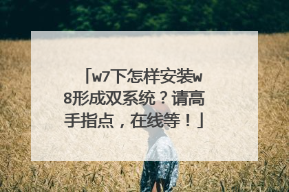 w7下怎样安装w8形成双系统?请高手指点,在线等!