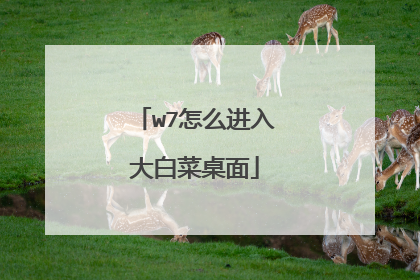 w7怎么进入大白菜桌面