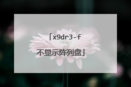 x9dr3-f不显示阵列盘