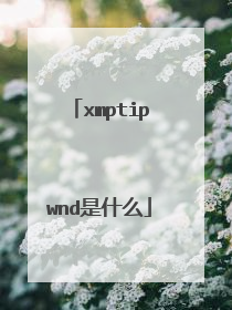 xmptipwnd是什么