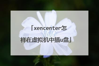 xencenter怎样在虚拟机中插u盘