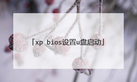 xp bios设置u盘启动