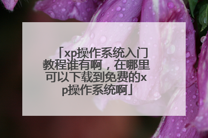 xp操作系统入门教程谁有啊,在哪里可以下载到免费的xp操作系统啊