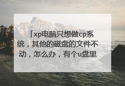 xp电脑只想做cp系统,其他的磁盘的文件不动,怎么办,有个u盘里面装了个大白菜