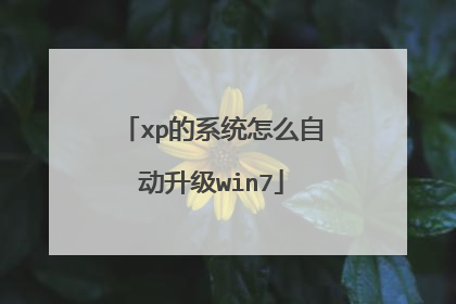 xp的系统怎么自动升级win7