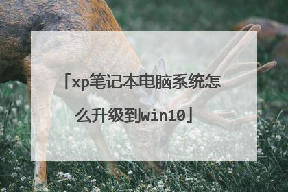 xp笔记本电脑系统怎么升级到win10